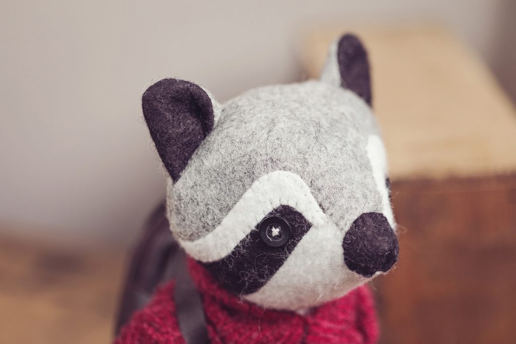Smokey Joe the Raccoon