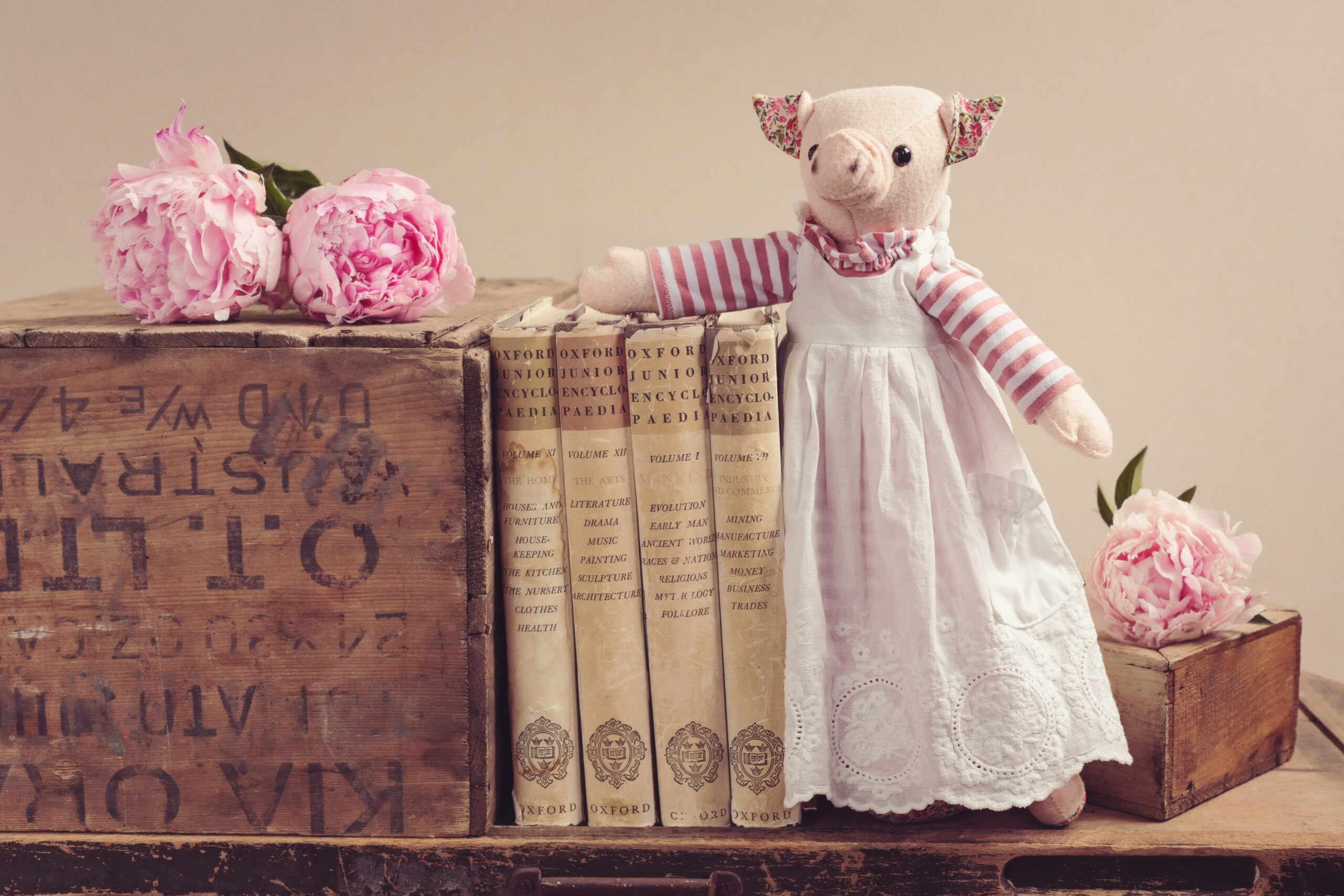 Dora Dorchester the Pig