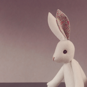 Luna Lapin