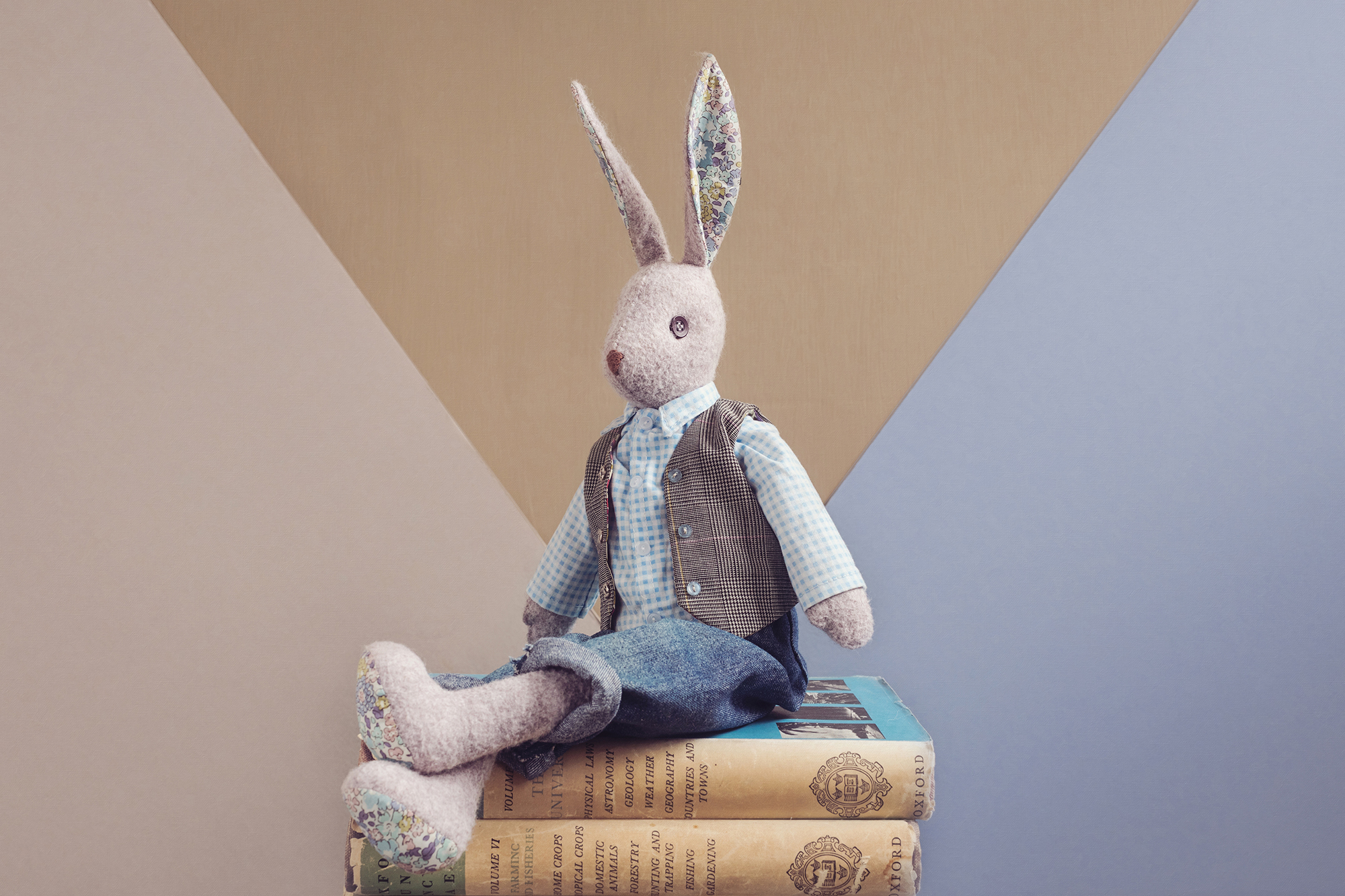 Alfie Rabbit