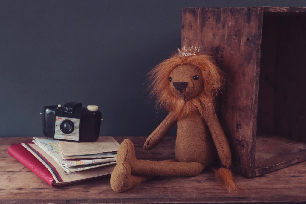 Levi the Lion