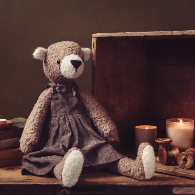 Bramble the Bear