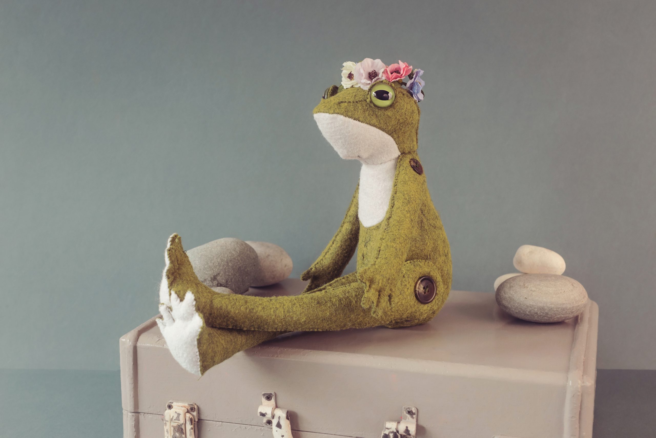 Gracie Grenouille
