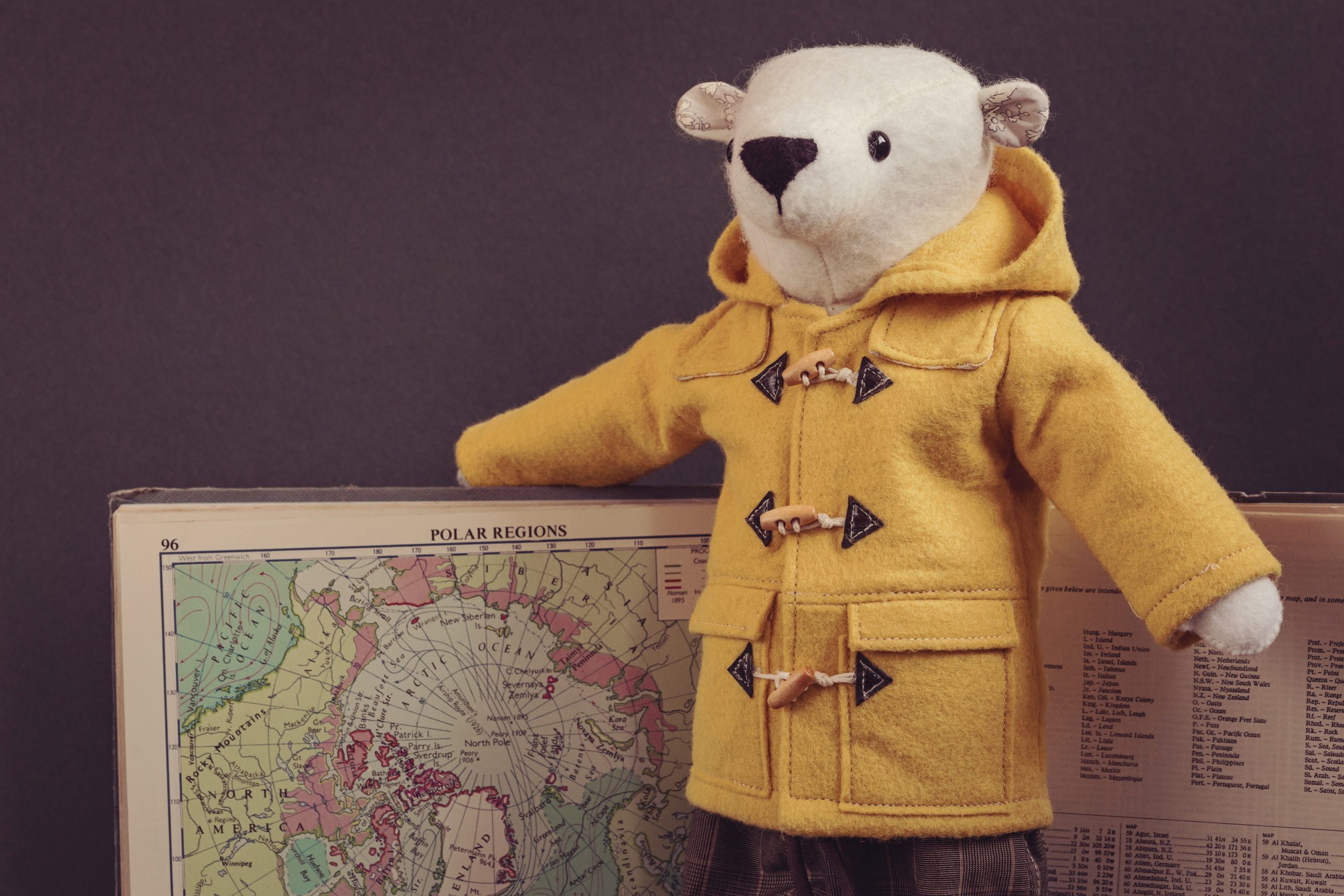 Erik the Polar Bear