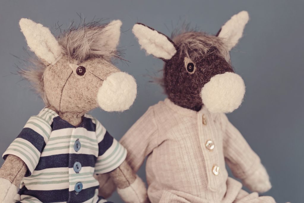 The Beach Donkeys