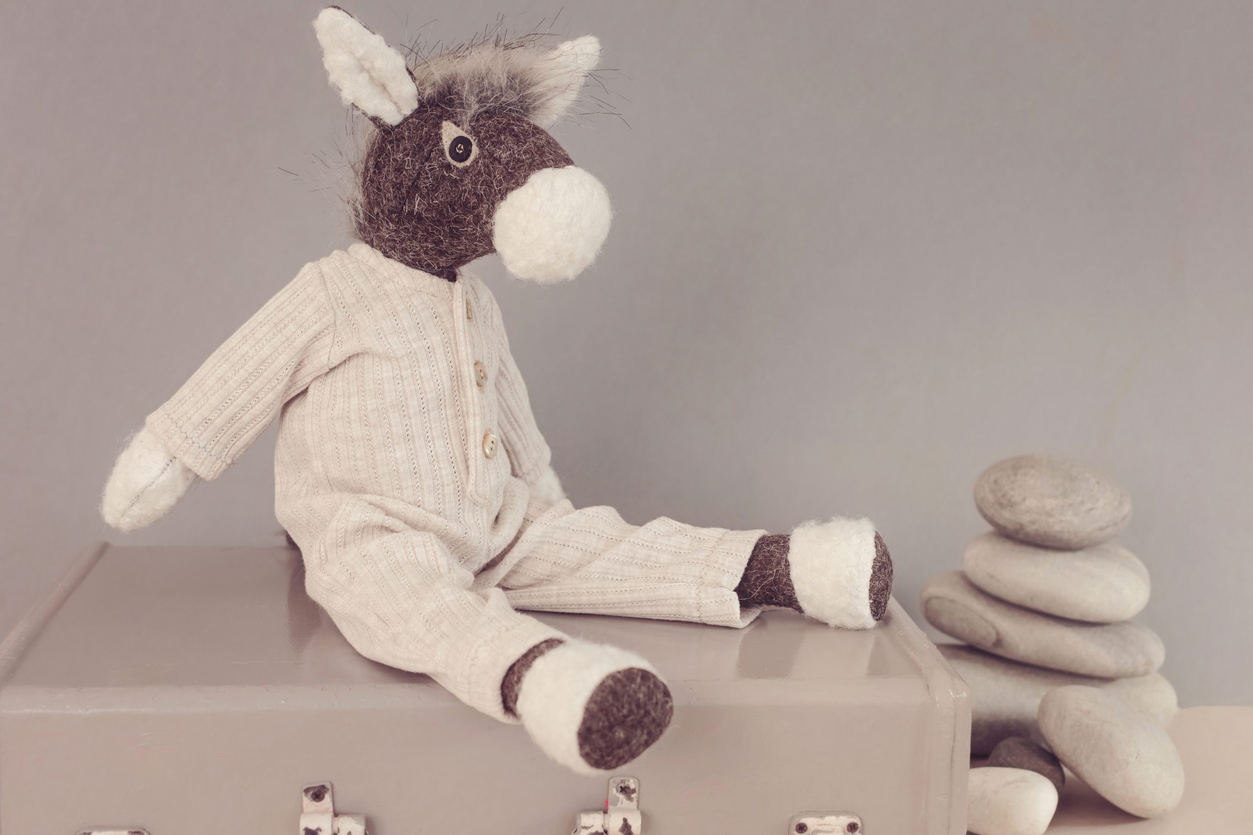 The Beach Donkeys