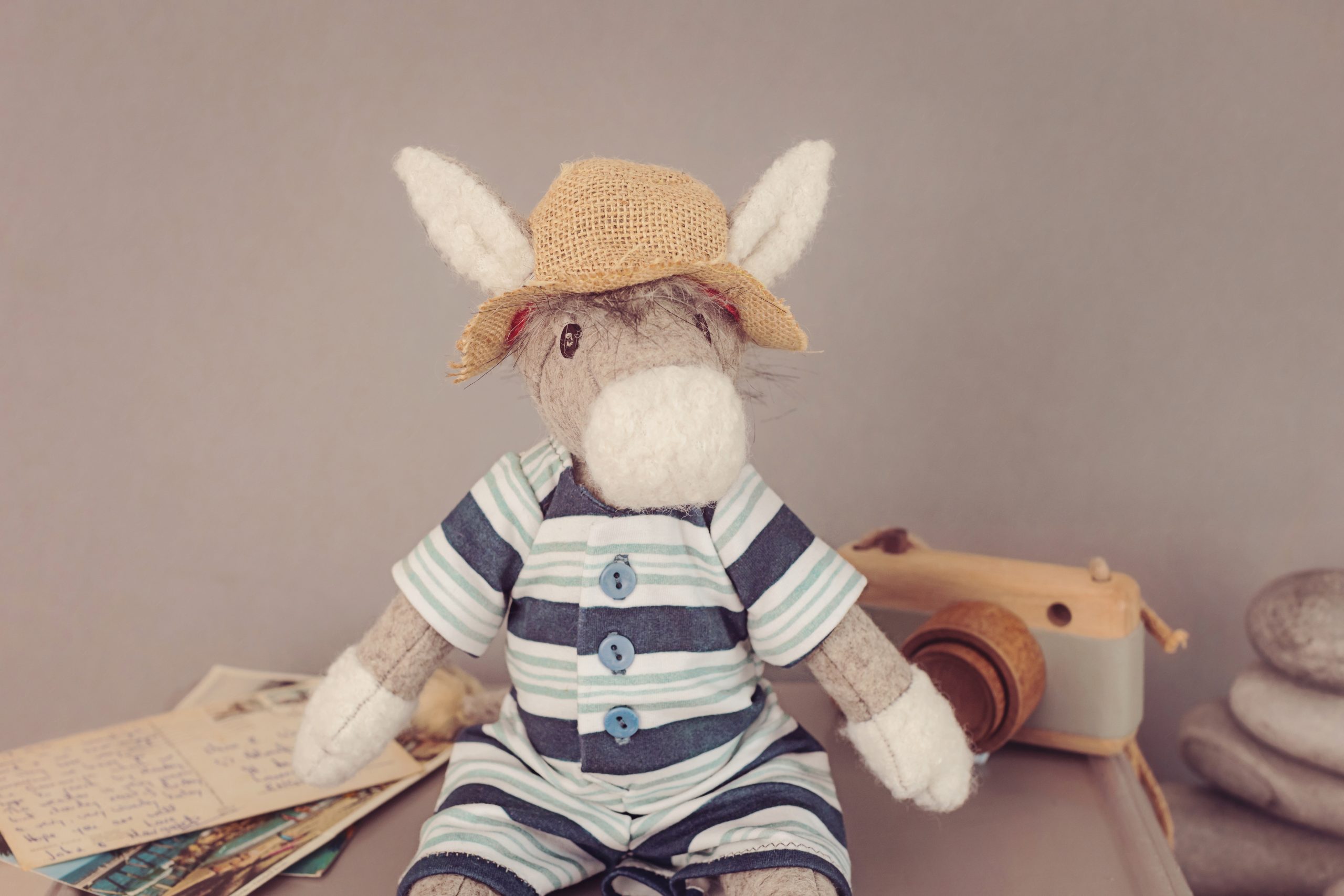 The Beach Donkeys