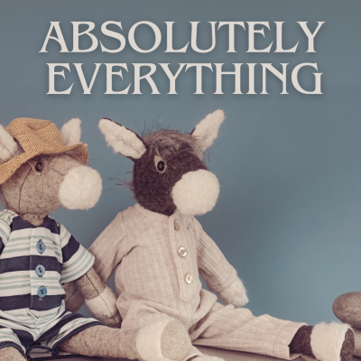 Absolutely Everything Book