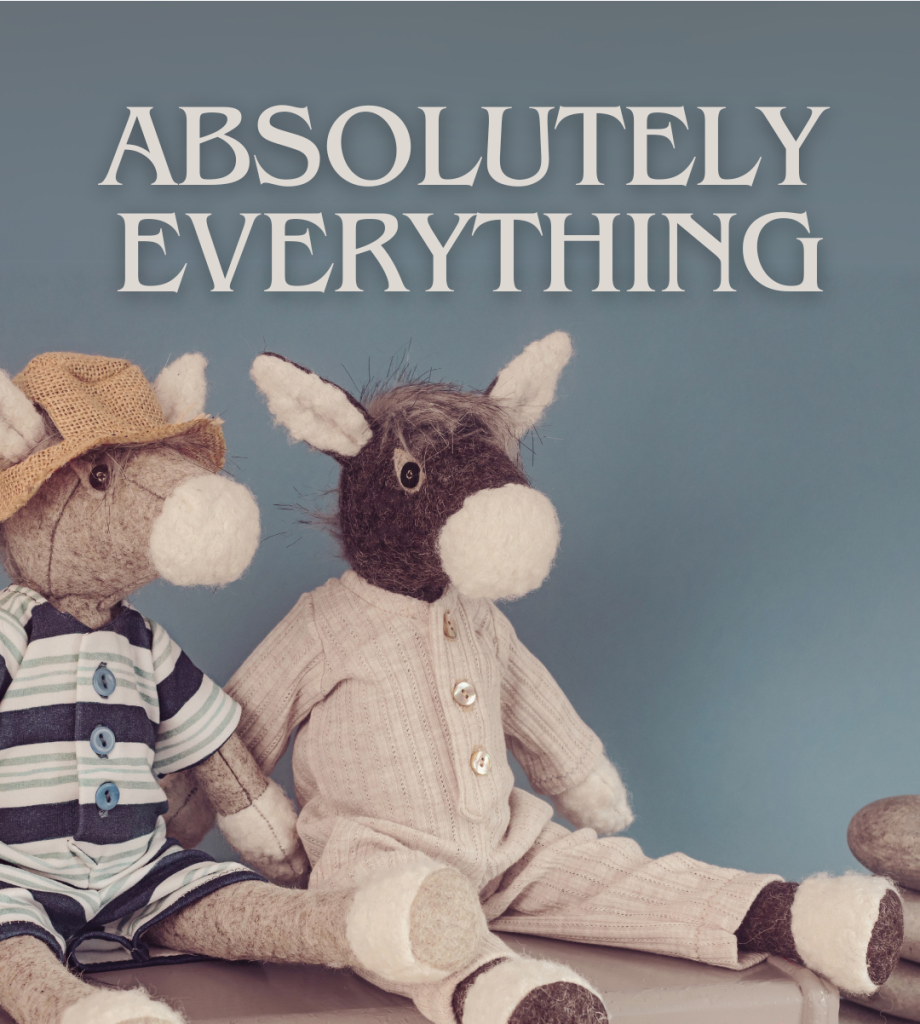 Absolutely Everything Book