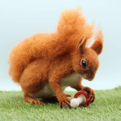 Solly the Squirrel Needle Felting Kit