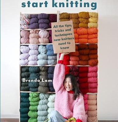 How to Start Knitting: All the Tips, Tricks and Techniques New Knitters Need to Know (Paperback) Brenda Lam