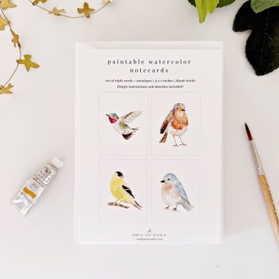 Backyard Birds Paintable Notecards by Emily Lex Studio