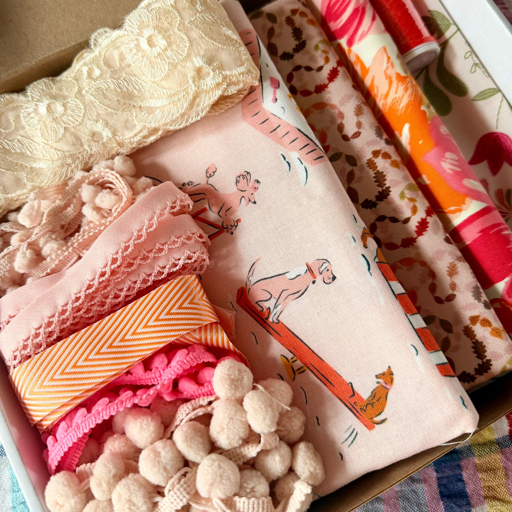 WhatsApp Image 2026-01-09 at 12.23.26